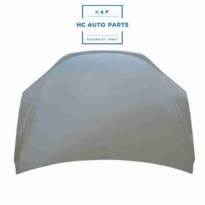 MODEL X HOOD